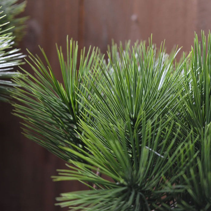 62102f86-7490-4997-b15d-c5af0b550d2e-afbeelding5.jpg (1318073) 