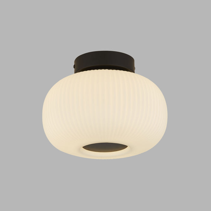 307087-x03.jpg (1322435) 