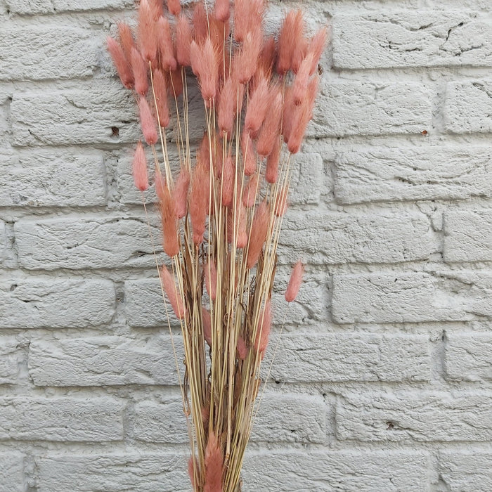 53595524-aaf4-4596-b033-0f24db4c3618-afbeelding3.jpg (1322501) 