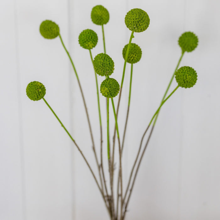 3fcada36-0ecc-4247-b119-57a899be52f8-afbeelding4.jpg (1327655) 