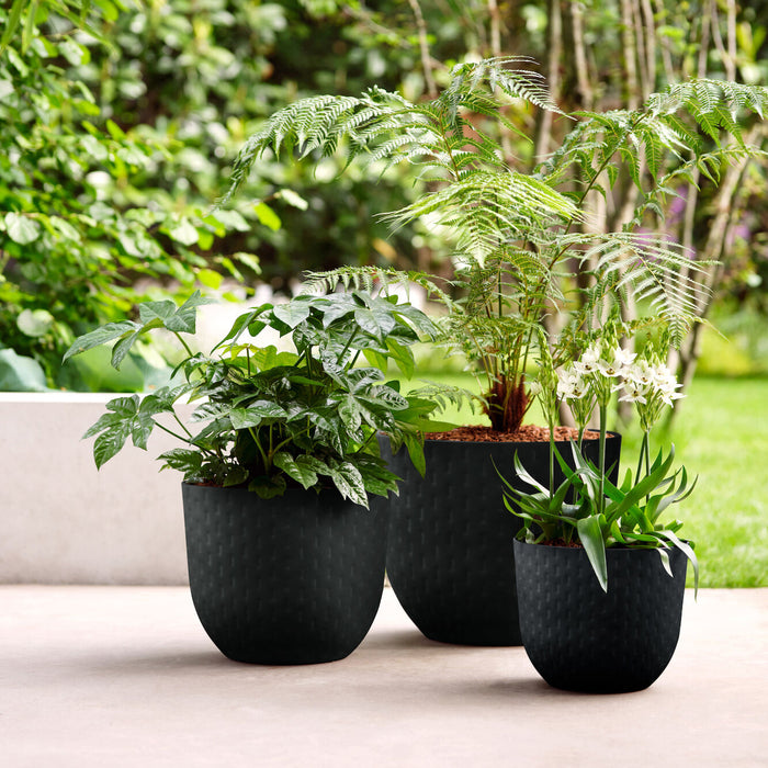 Elho Fuente Grains Bloempot 38 cm - Zwart