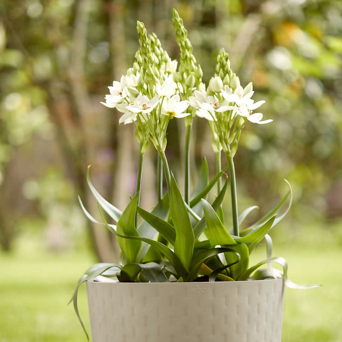 Elho Fuente Grains Bloempot 47 cm - Grijs