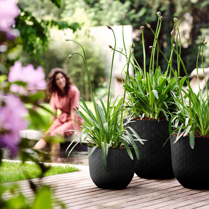 Elho Fuente Grains Bloempot 47 cm - Zwart