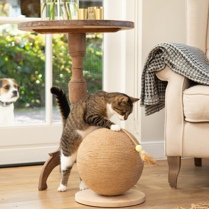 304103-x1.jpg (1332480) 