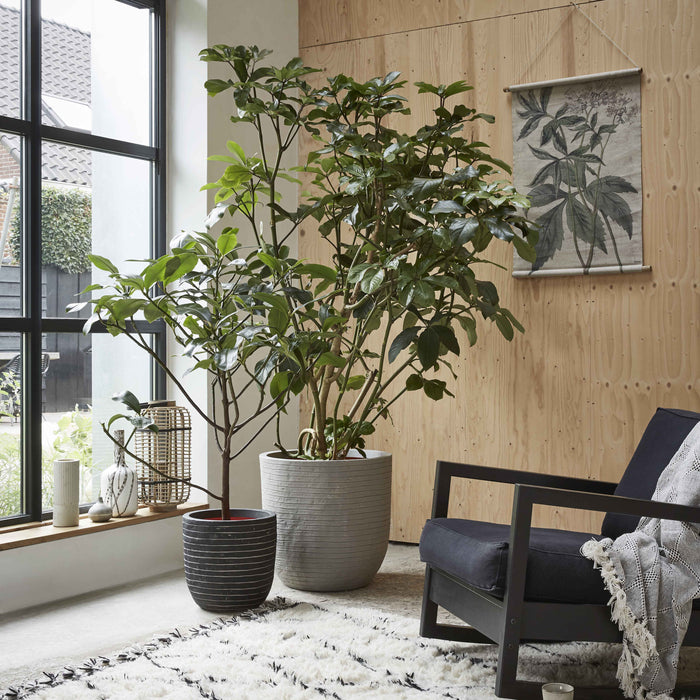 Capi Europe Nature Row Rond Bloempot 52 cm