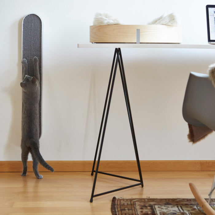 200129-x02.jpg (1366246) 