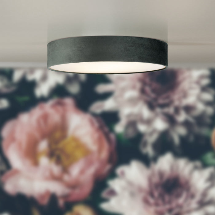 307114-x1.jpg (1369047) 