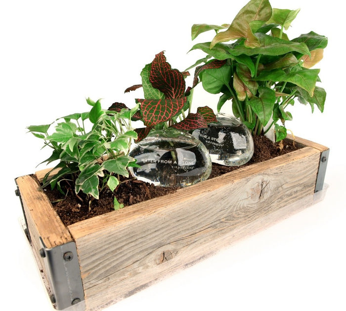 121119-3.jpg (1376288) 