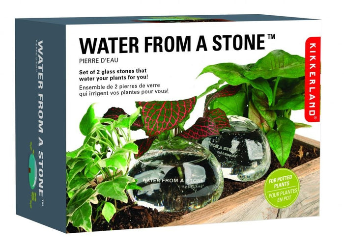 121119-5.jpg (1376292) 