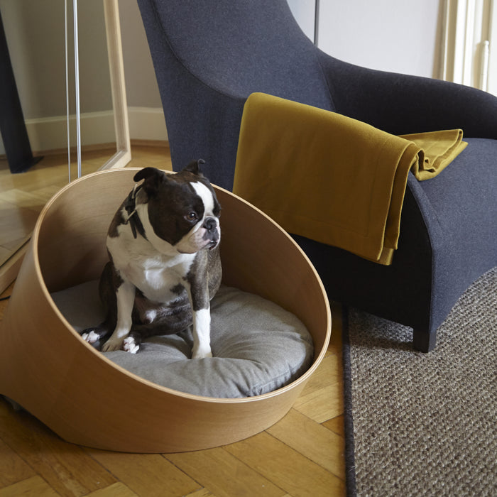 200112-x1.jpg (1378453) 