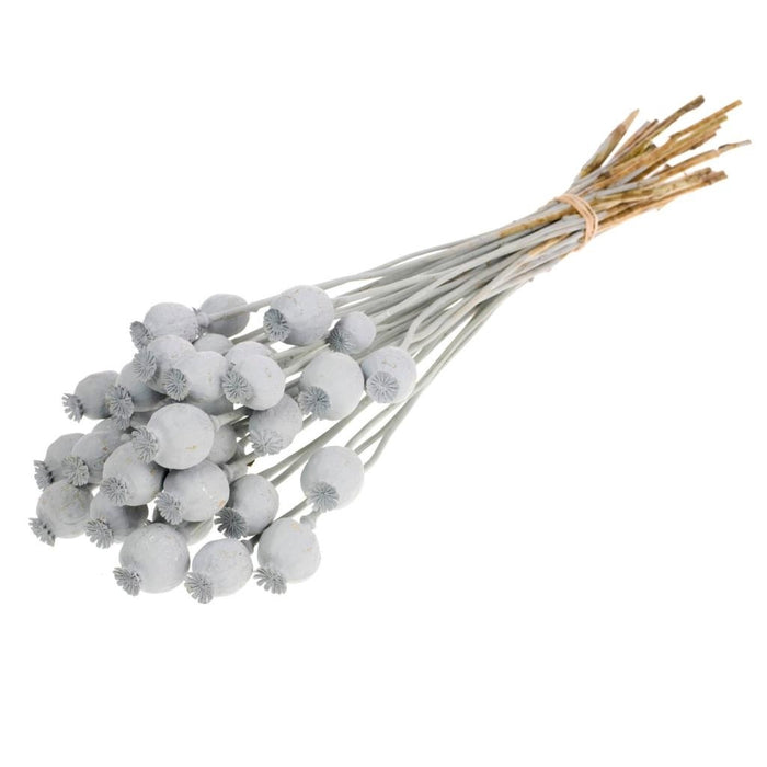 1c885ac9-90f6-4b04-85df-17f71c5e4ad2-afbeelding3.jpg (1400799) 