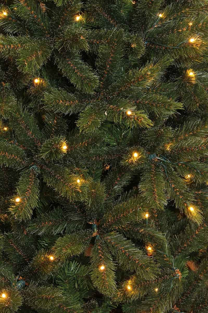 Triumph Tree Bristlecone Kunstkerstboom met Verlichting - H215