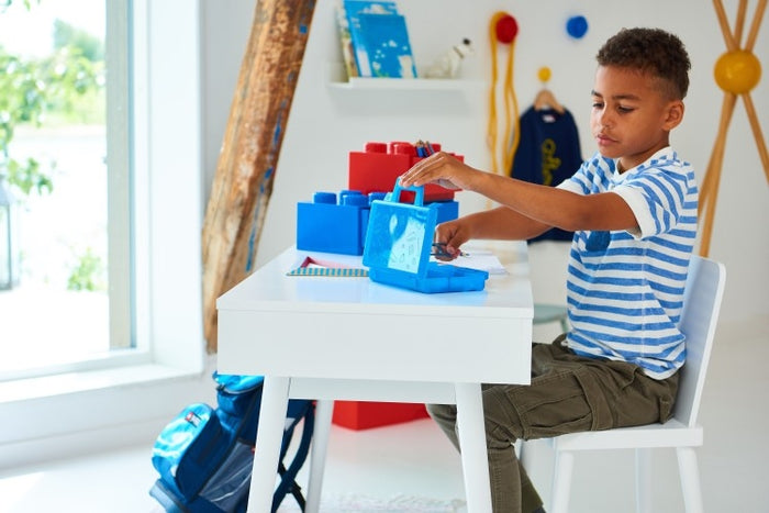 LEGO - Set van 2 - Sorteerkoffer To Go, Blauw - LEGO