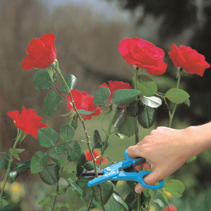 Gardena Bloemenschaar