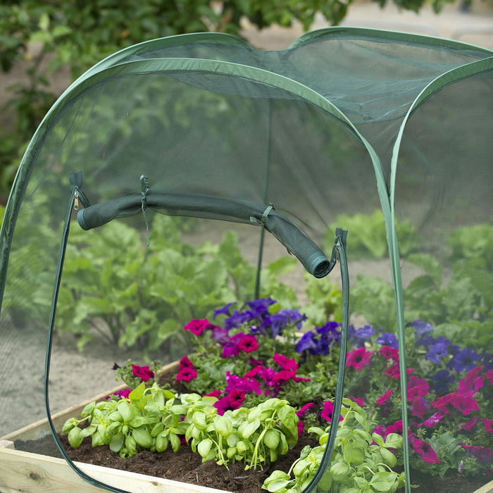 Nature Vierkante Meter Pop-up Kas