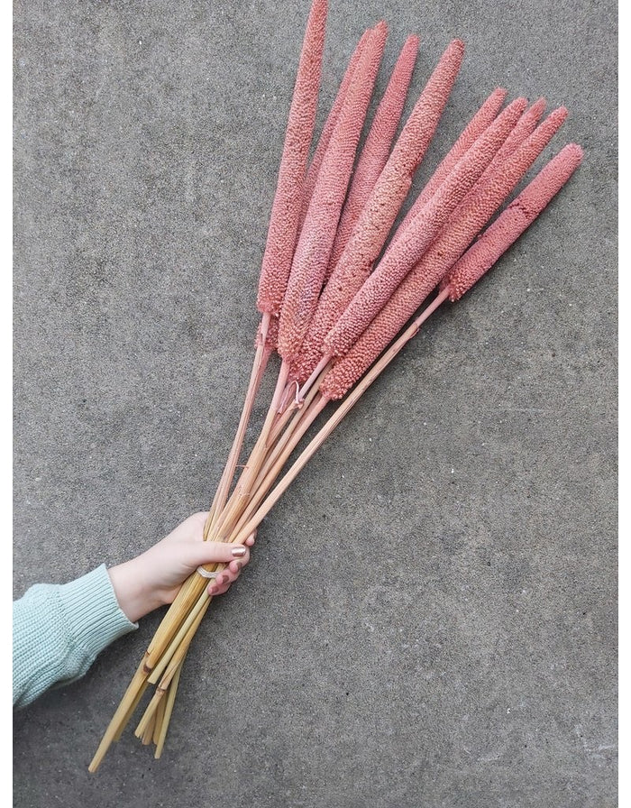 87c5593c-fc43-455f-8714-e1c7c12f2028-afbeelding3.jpg (1437251) 