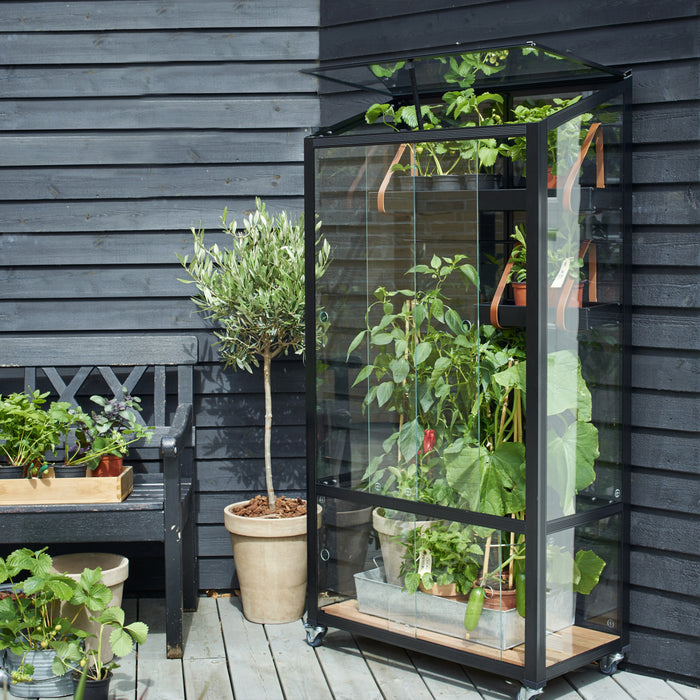 Royal Well City Garden Patiokas