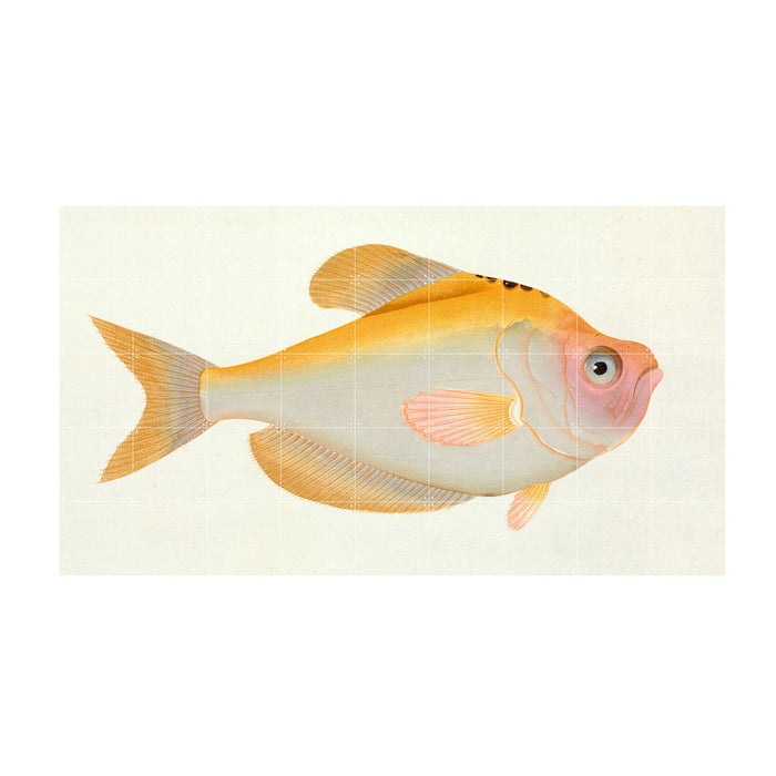 216151-x00.jpg (1450919) 