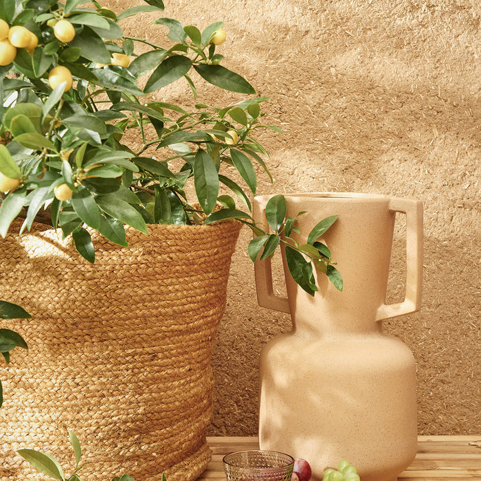 303157-x04.jpg (1463381) 