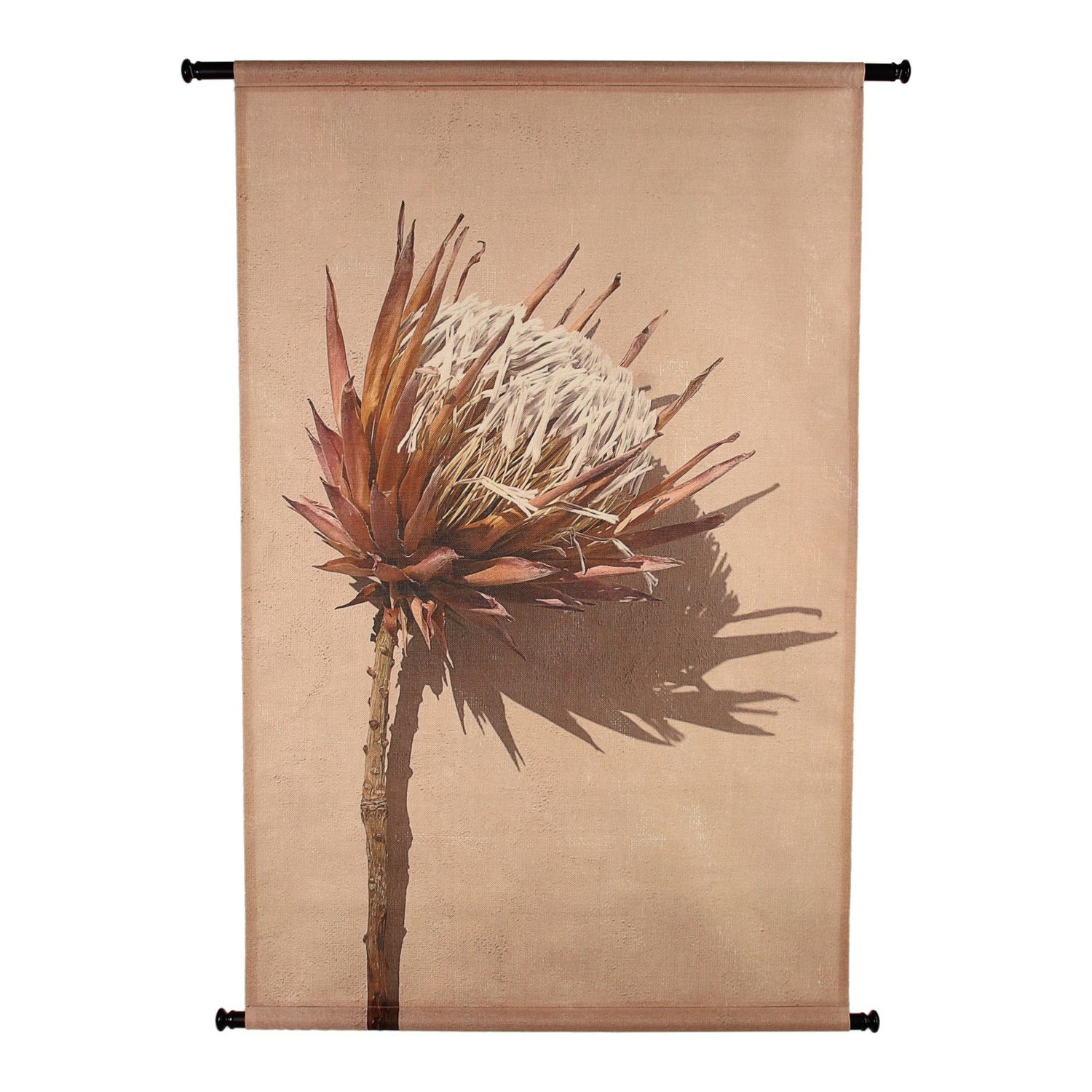 306159-x0.jpg (1466989) 