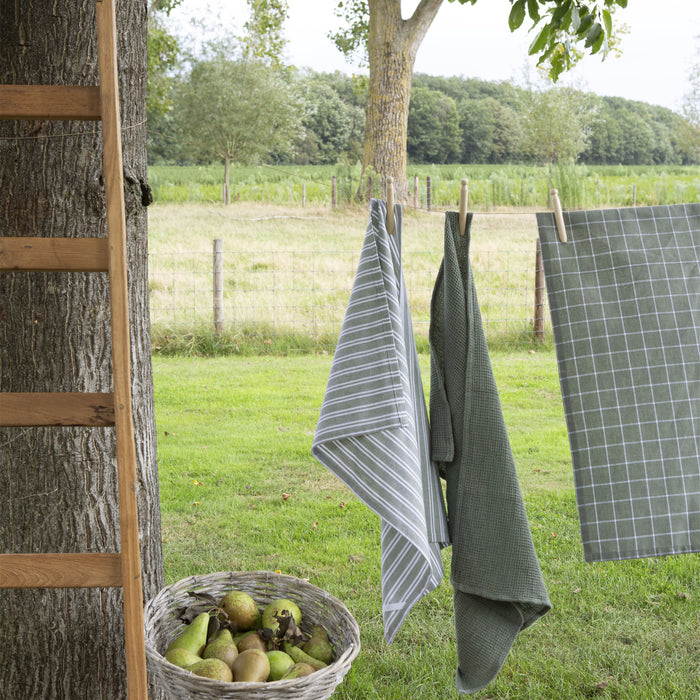 Walra Dry with Cubes Uni Keuken- en Theedoekset 3 st. - Groen