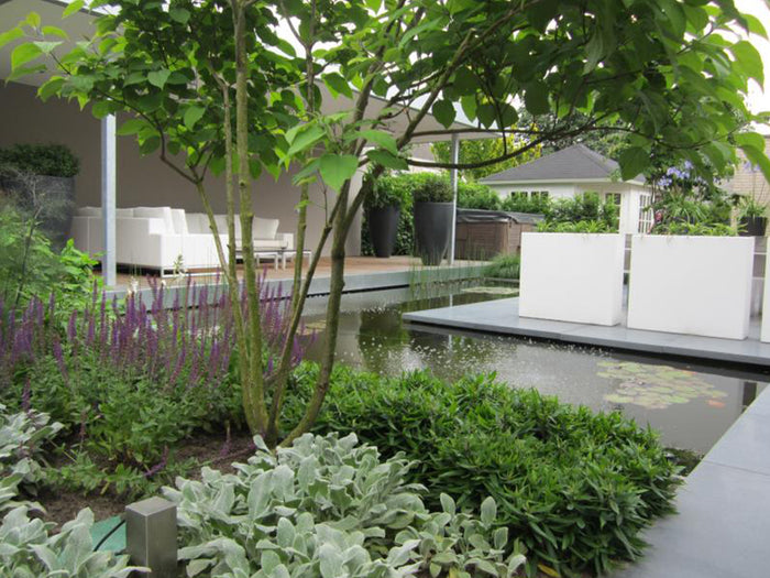 Adezz Buxus polyester plantenbak 150 x 40 x 40 cm