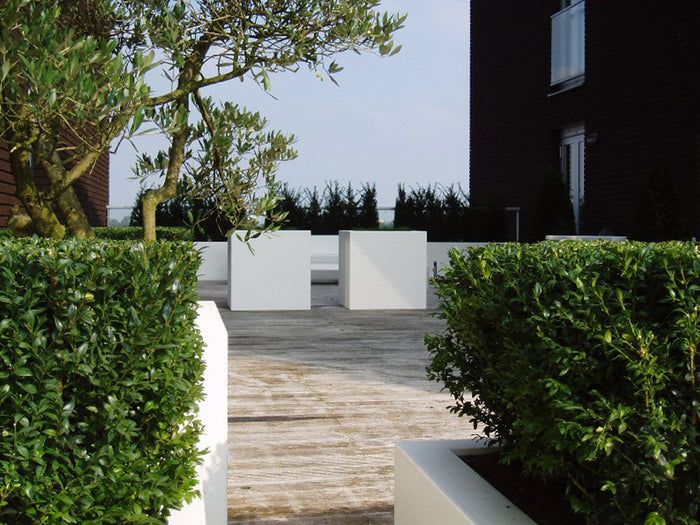 Adezz Buxus polyester plantenbak 150 x 40 x 40 cm