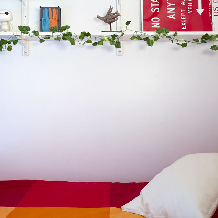 Kikkerland Klimop Lichtsnoer