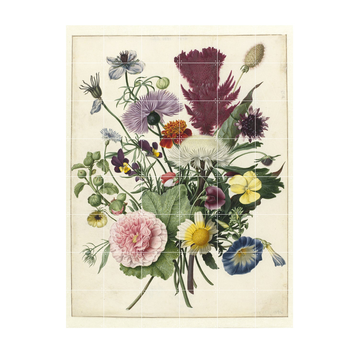 179185-x0.jpg (1513928) 