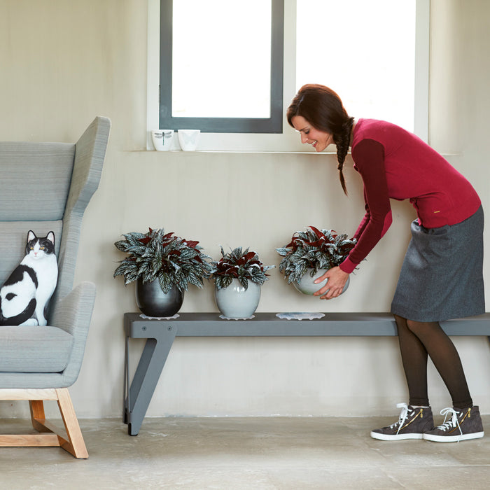 192185-x01.jpg (1513961) 