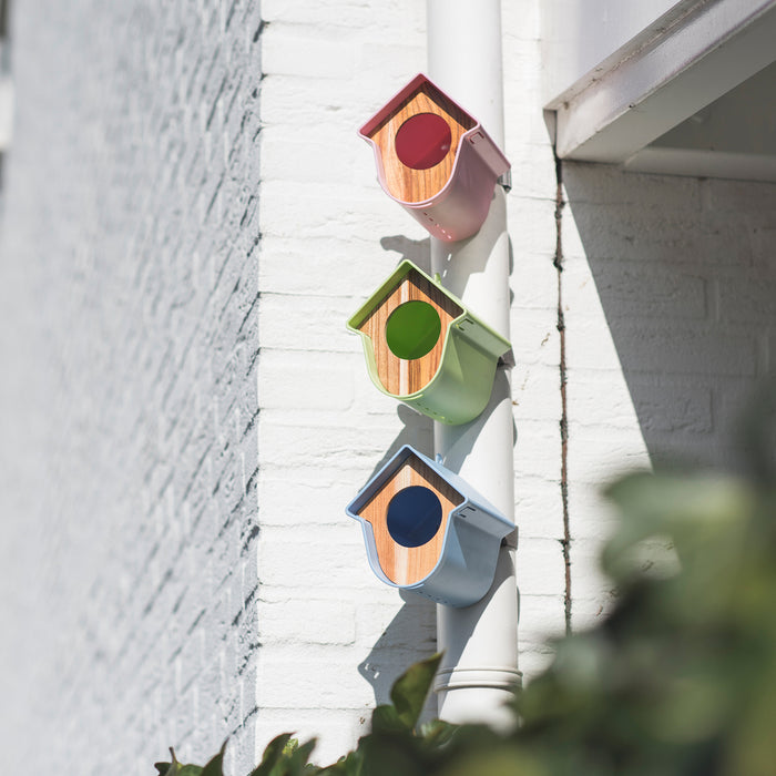 SingingFriend Evie Pindakaashuisje