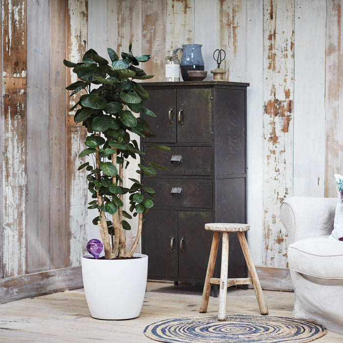 elho Aqua Care Waterdispenser