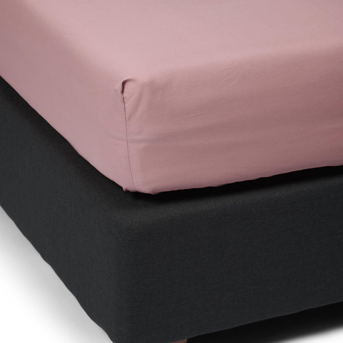 Essenza Premium Perkal Hoeslaken 90 x 200 cm