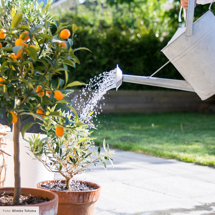 Esschert Design Gieter Zink - 8,7 Liter