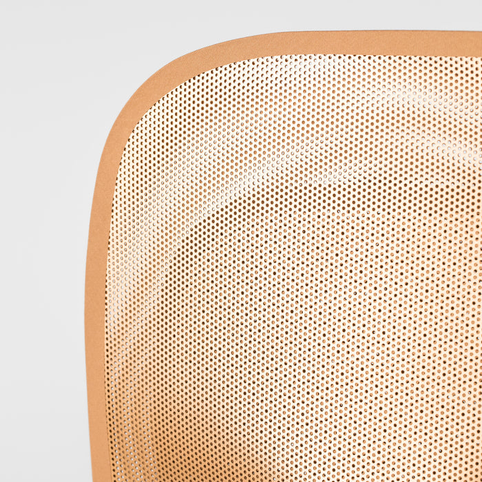 241195-x2.jpg (1532431) 