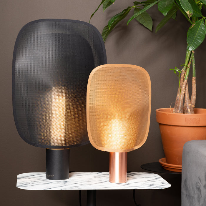 241195-x7.jpg (1532436) 