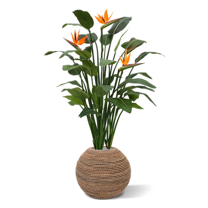 c4a2aaa0-3545-4fb4-ba7c-53dce7cfd50b-sfeerbeeld.jpg (1538049) 