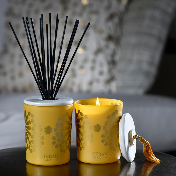 35a53a80-d227-4dfd-ac9b-10eaa32a8b6a-afbeelding3.jpg (1547375) 