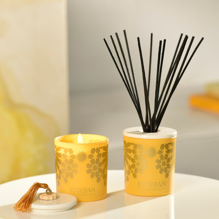 35a53a80-d227-4dfd-ac9b-10eaa32a8b6a-afbeelding4.jpg (1547376) 