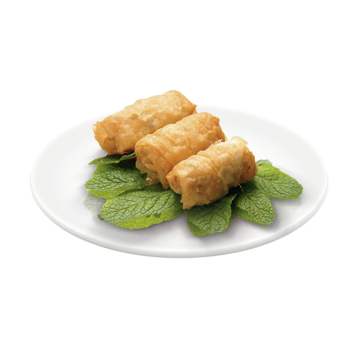 Tefal FR4800 Mega Friteuse