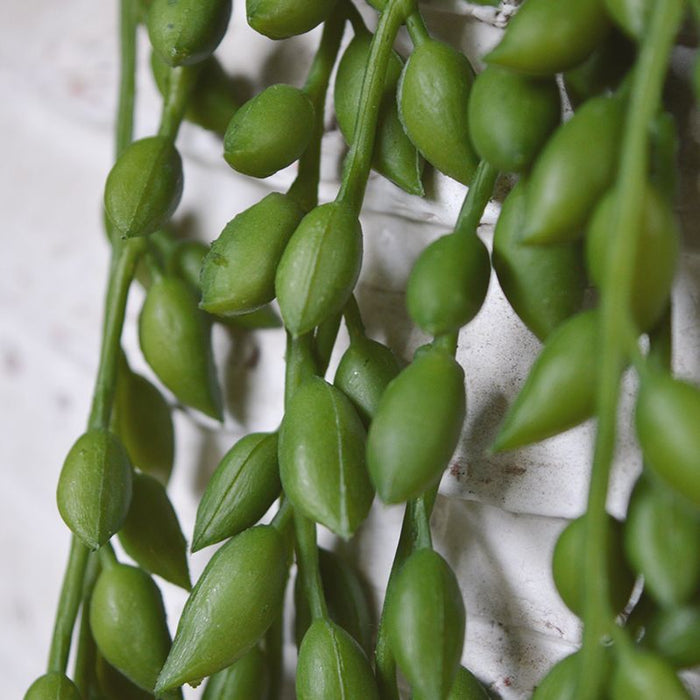 8af8a52f-5d76-4093-9830-3c0da095099f-afbeelding5.jpg (1557076) 