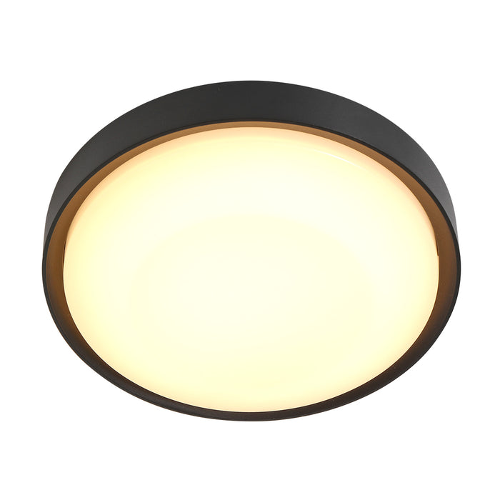 Steinhauer Fuga Wandlamp Zwart