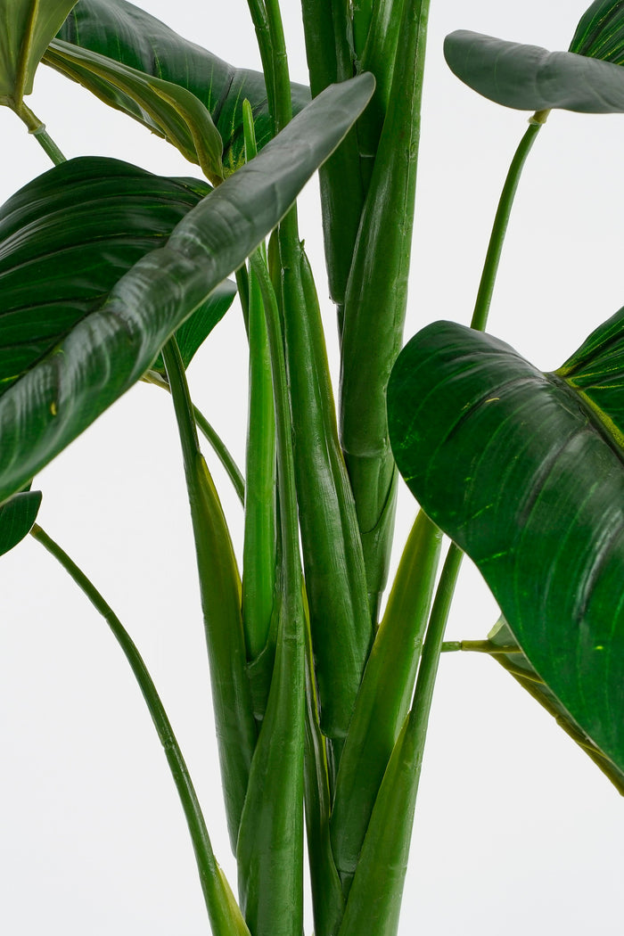 Mica Decorations Philodendron Kunstplant - H100x Ø70 cm - Groen