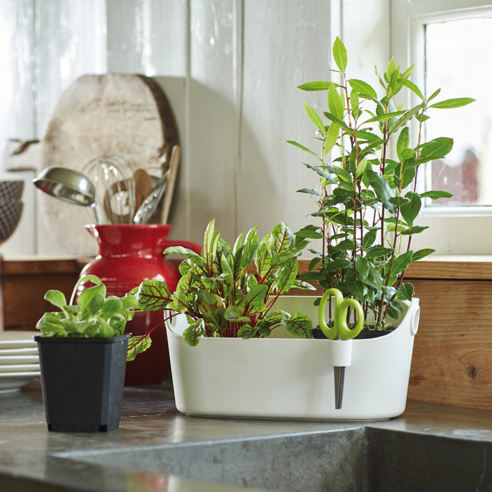 Elho Brussels Herbs Station Kruidenpot