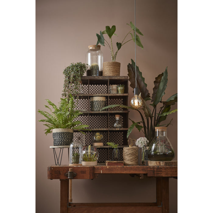 d5e91ef3-2732-40d0-b5ee-da8fccf5598f-afbeelding11.jpg (1579428) 