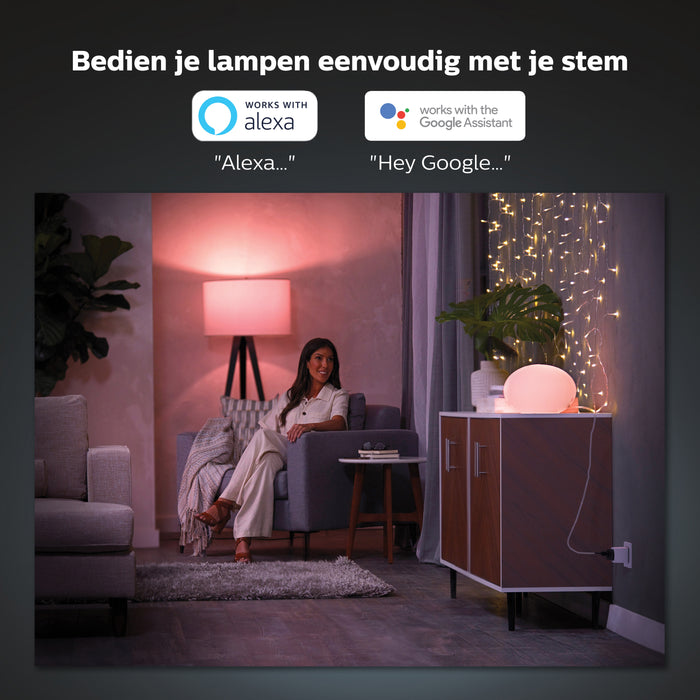Philips Hue  Stekker