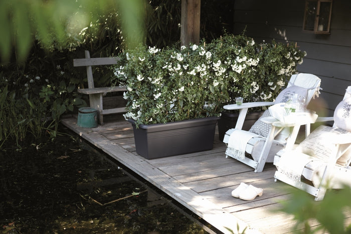 192222-2.jpg (1589668) 