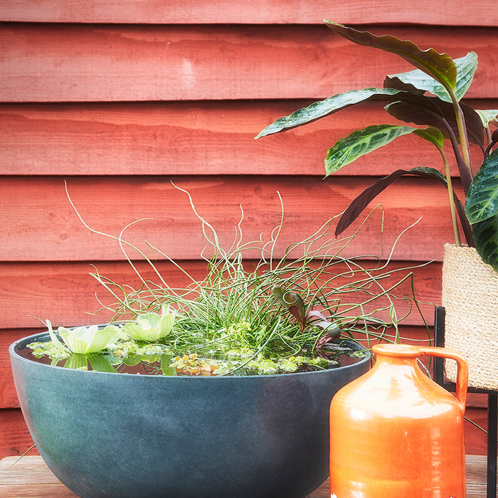 Mica Decorations Dylan Kruik Ø18 cm Rood