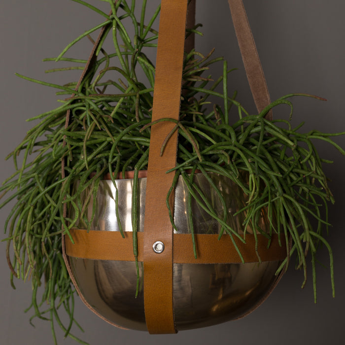 191235-x5.jpg (1617934) 