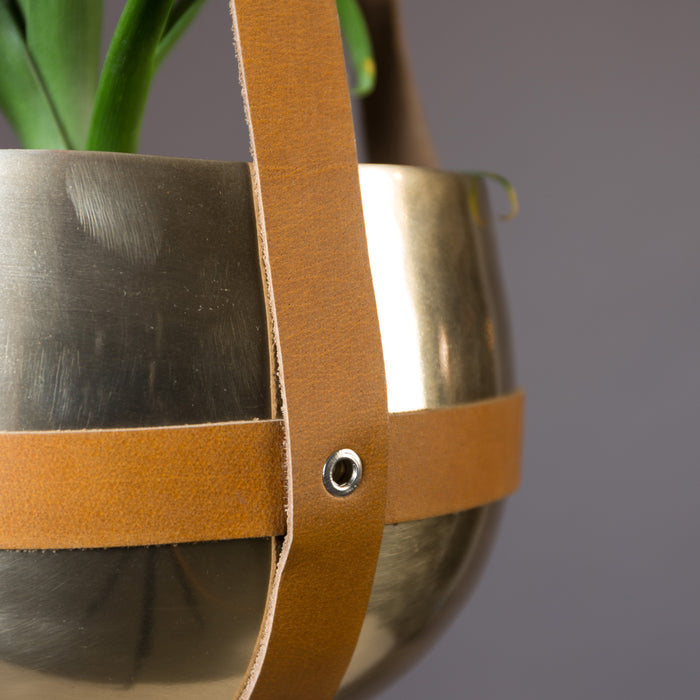 191235-x6.jpg (1617935) 